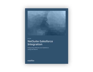 NetSuite Salesforce integration guide
